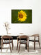 Mockup Photo art by Oliver Buchmann: sunflower in warm summer light