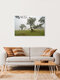Mockup Hexenbaum von Fanal auf Madeira, Portugal – Fotokunst von Michael Valjak als Poster oder Acrylglasbild