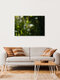 Mockup Chickweed in Backlight, Germany – wall art by Nadja Jacke as Poster or Acrylic Glass Print