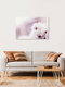 Mockup Light Cherry Blossoms with Soft Background, Germany – wall art by Nadja Jacke as Poster or Acrylic Glass Print