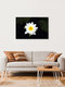 Mockup Manuela Deigert, White water lily - Germany, Europe