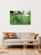 Mockup Close-up of a fern frond with a gentle bokeh effect in the background