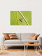 Mockup Close-up of a fly on a grass stem, delicate and detailed in a natural setting.