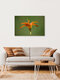 Mockup Close-up of a daylily in evening light, soft colors and a calming mood.