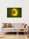 Mockup Photo art by Oliver Buchmann: sunflower in warm summer light