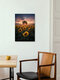 Mockup Photo art by Patrick Noack: sunflower field in golden evening light