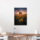 Mockup Photo art by Patrick Noack: sunflower field in golden evening light