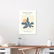Mockup Wandbild 'Henri Matisse Papiers Découpés Poster beige-blau' – Kunst von Art Classics als Poster oder Acrylglasbild