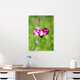 Mockup Pink summer glow, Germany – wall art by Manuela Deigert as Poster or Acrylic Glass Print