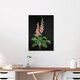 Mockup Illustration by Katherine Blower: detailed depiction of a foxglove flower