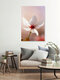 Mockup The delicate one, Germany – wall art by Manuela Deigert as Poster or Acrylic Glass Print