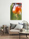 Mockup Red Tulips Behind Soft Blur, Germany – wall art by Nadja Jacke as Poster or Acrylic Glass Print