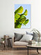 Mockup Tropical scene with lush plants in vibrant greens and gentle lighting.