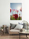 Mockup Photo art by Nadja Jacke: pink tulips backlit with a blue sky