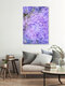Mockup Nadja Jacke, Hydrangea blossoms abstract - Germany, Europe