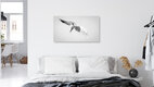 Mockup Northern Gannet 2, Germany – wall art by Dennis Wehrmann as Poster or Acrylic Glass Print
