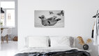 Mockup Grey Seal 3, Germany – wall art by Dennis Wehrmann as Poster or Acrylic Glass Print