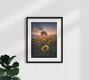 Mockup Photo art by Patrick Noack: sunflower field in golden evening light