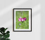Mockup Pink summer glow, Germany – wall art by Manuela Deigert as Poster or Acrylic Glass Print