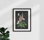 Mockup Illustration by Katherine Blower: delicate foxglove plant with a mysterious feel
