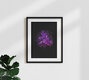 Mockup Photo art by Ramona Reimann: delicate hydrangea blossoms in soft colors
