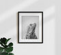 Mockup Iguana - Black & White, Israel – Fotokunst von Gal Pittel als Poster oder Acrylglasbild