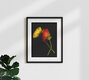 Mockup Fotokunst von Ramona Reimann: zarte Mohnblume in leuchtenden Farben