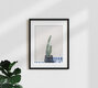 Mockup Photo art: minimalistic shot of a cactus in a Moroccan setting