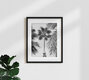 Mockup Photo art: Black and white shot of palm trees swaying in a gentle breeze