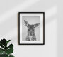 Mockup Photo art by Gal Pittel: cute baby kangaroo in black and white