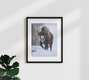 Mockup Photo art by René Ruis: powerful bull in a natural setting