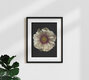 Mockup Photo art by Ramona Reimann: Peony in soft light and shadow nuances.