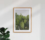 Mockup Cactus in the streets of Calabria, Italien – Fotokunst von Photolovers . als Poster oder Acrylglasbild