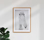 Mockup portrait pelican - Fineart photography by Dennis Wehrmann