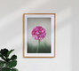 Mockup Pinke Schönheit, Deutschland – Fotokunst von Manuela Deigert als Poster oder Acrylglasbild