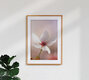 Mockup The delicate one, Germany – wall art by Manuela Deigert as Poster or Acrylic Glass Print
