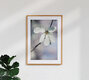 Mockup Sternmagnolie, Deutschland – Fotokunst von Manuela Deigert als Poster oder Acrylglasbild