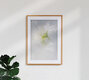 Mockup Tanz der weißen Wicken in kristallklarem Eis, Deutschland – Fotokunst von Marc Heiligenstein als Poster oder Acrylglasbild