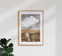 Mockup Katherine Blower, Chrysanthemum Ghost - United Kingdom, Europe