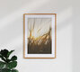 Mockup Photo art by Nadja Jacke: gentle grass blades in warm evening light