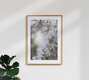 Mockup Photo art by Nadja Jacke: delicate apple blossom branch in backlight