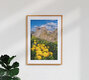 Mockup Photo art by Achim Thomae: spring landscape in the Dolomites with colorful flowers