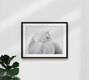 Mockup Photo art: Black and white image of a majestic horse in a calm pose.