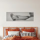 Mockup Grey Seal 1, Germany – wall art by Dennis Wehrmann as Poster or Acrylic Glass Print