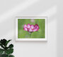 Mockup Kosmee, Germany – wall art by Manuela Deigert as Poster or Acrylic Glass Print