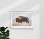 Mockup Bison in der Natur: ruhige Szene mit einem majestätischen Tier in der Wildnis.