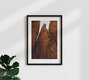 Mockup Photo art by Tal Paz-Fridman: tall sandstone pillars in the Negev under sunlight