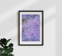 Mockup Nadja Jacke, Hydrangea blossoms abstract - Germany, Europe