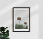 Mockup Fotokunst von Manuela Deigert: verwelkte Margeriten in sanften Farben