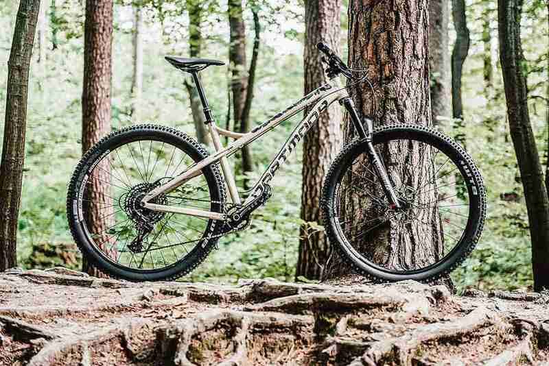 dartmoor primal pro 29